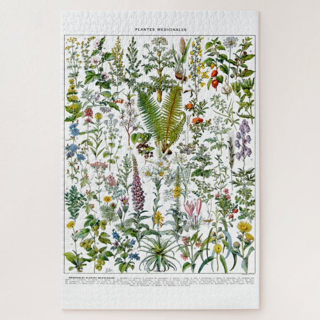 Puzzle Plantas y flores medicinales de Adolphe Millot (Vertical)