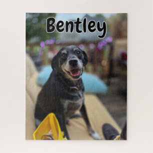 Puzzle Plantilla de fotos de mascotas personalizadas