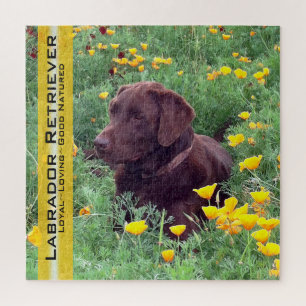 Puzzle Plantilla de pasteles de Chocolate Lab para Califo