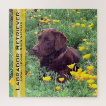 Plantilla de retratos de Chocolate Lab California