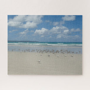 Puzzle Playa con gaviotas