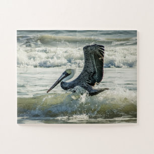 Puzzle Playa de Florida Pelican Bird Nature, Vistazo sobr