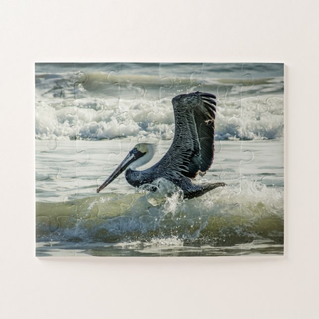Puzzle Playa de Florida Pelican Bird Nature, Vistazo sobr (Horizontal)
