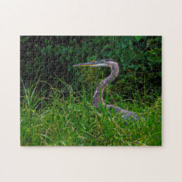 Puzzle Playa Heron Florida.