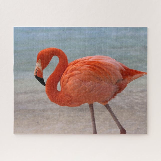 Puzzle Playas tropicales | Flamingo caribeño, Aruba (Horizontal)