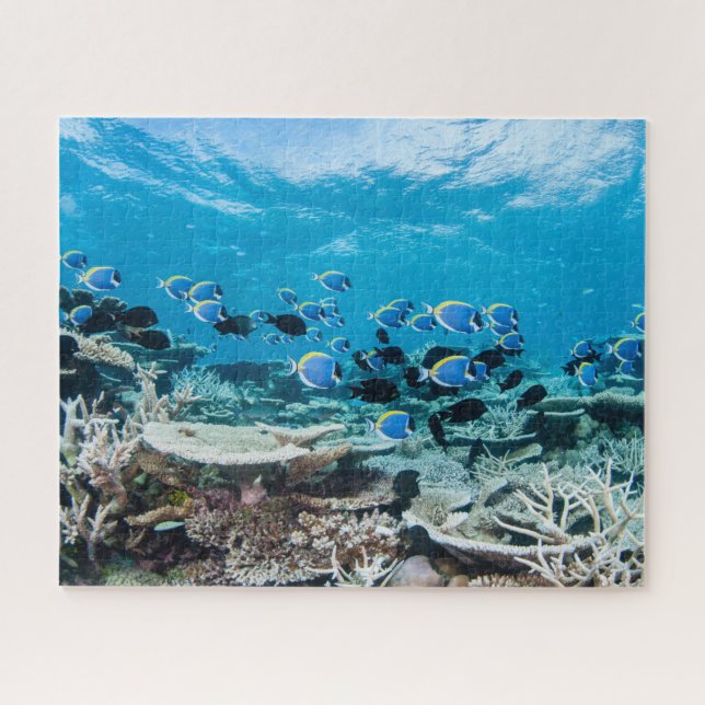 Puzzle Playas tropicales | Sturgeon Entre Coral (Horizontal)