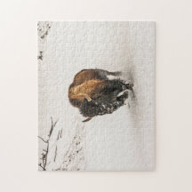 Plodding de veneno a través de nieve - 252 pieza