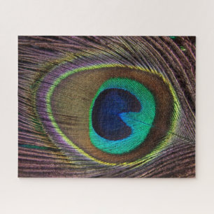 Puzzle Pluma de pavo real colorida   PERSONALIZADO