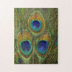 Puzzle Plumas del pavo real