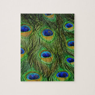 Puzzle Plumas Hermosas de Pavo Real