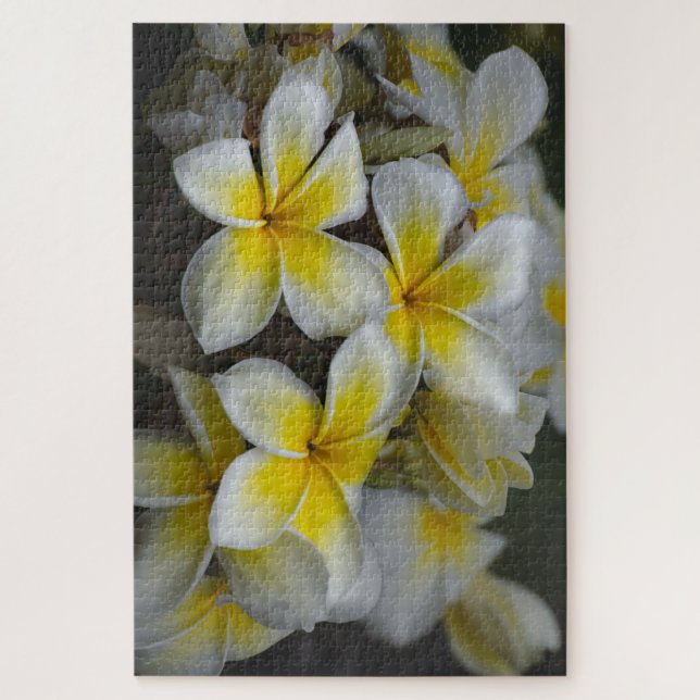 Puzzle Plumeria Amarilla Hawaii (Vertical)