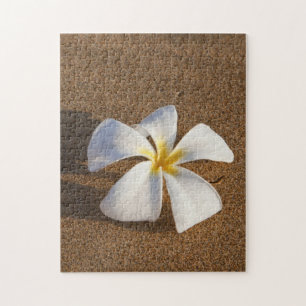 Puzzle Plumeria en la playa de arena, Maui, Hawaii, Estad