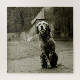 Puzzle Pobre perro esperando