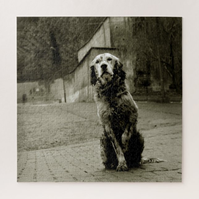 Puzzle Pobre perro esperando (Vertical)