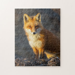 Puzzle Poco Fox rojo