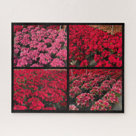 Puzzle Poinsettia Christmas Greenhouse Red Pink