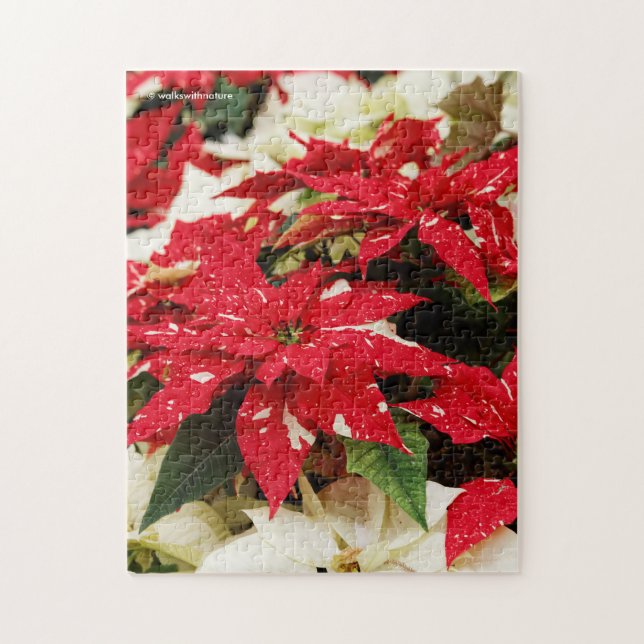 Puzzle Poinsettias florales blancas rojas festivas (Vertical)
