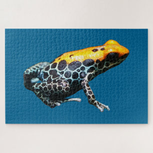Puzzle Poison Dart Frog