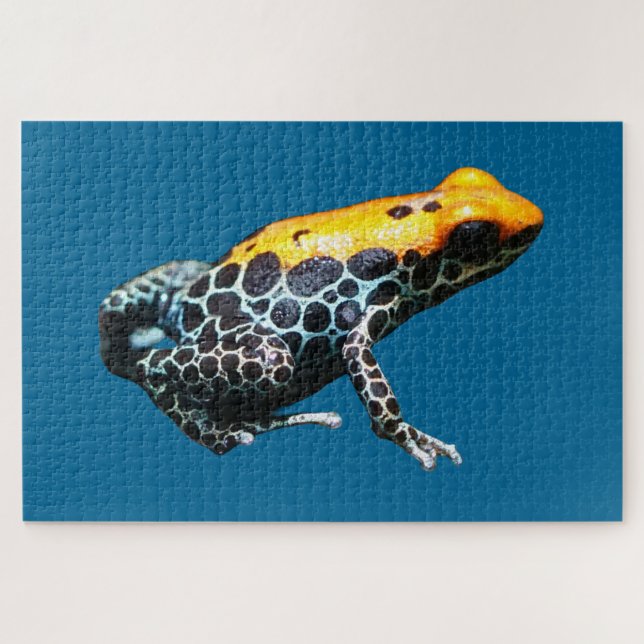 Puzzle Poison Dart Frog (Horizontal)