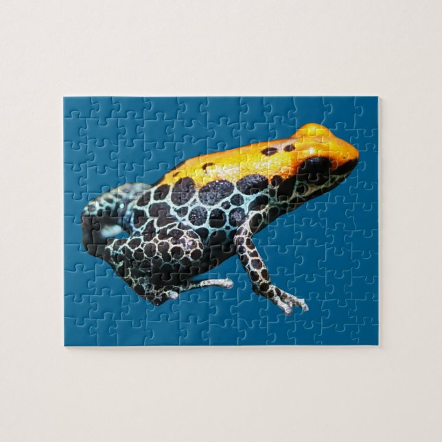 Puzzle Poison Dart Frog (Horizontal)