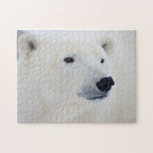 Puzzle Polar Bear Churchill