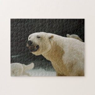 Puzzle Polar Bear Grin
