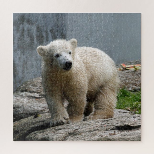 Puzzle Polarbear 002 de JAMFoto (Vertical)