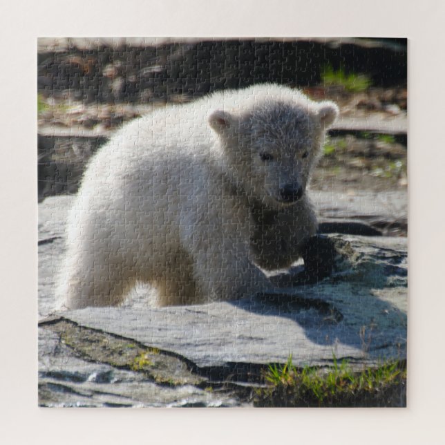 Puzzle Polarbear 004 de JAMFoto (Vertical)