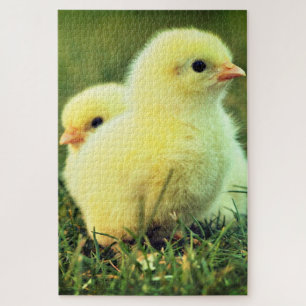 Puzzle Pollitas Lindas - Dulces -