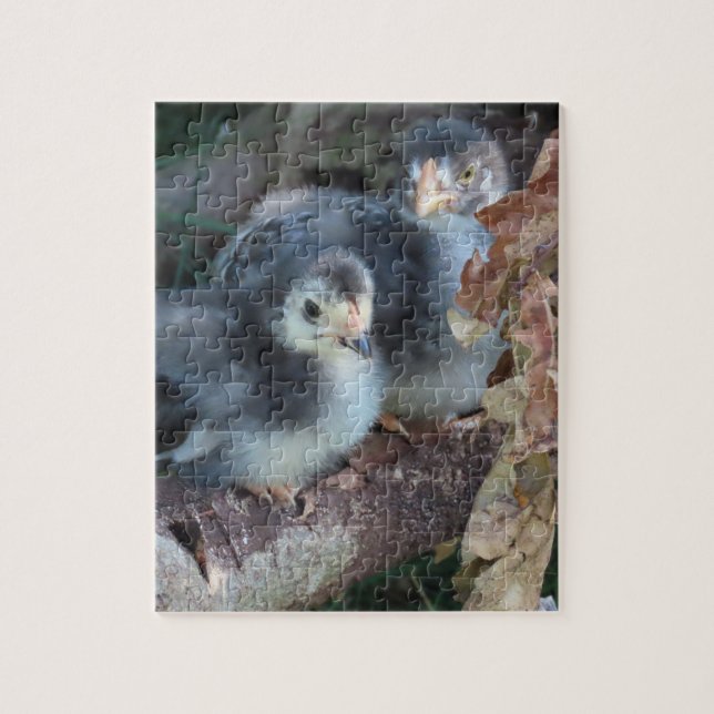 Puzzle Pollitos de gallina (Vertical)
