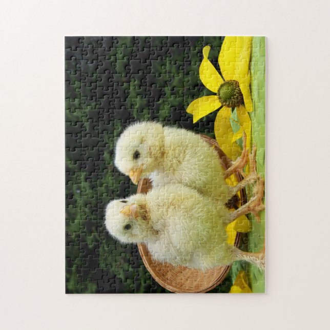 Puzzle pollitos de gallina (Vertical)