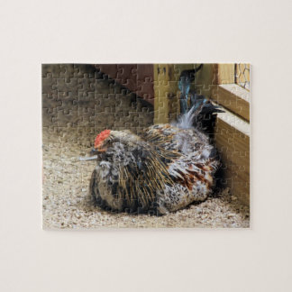 Puzzle Pollo
