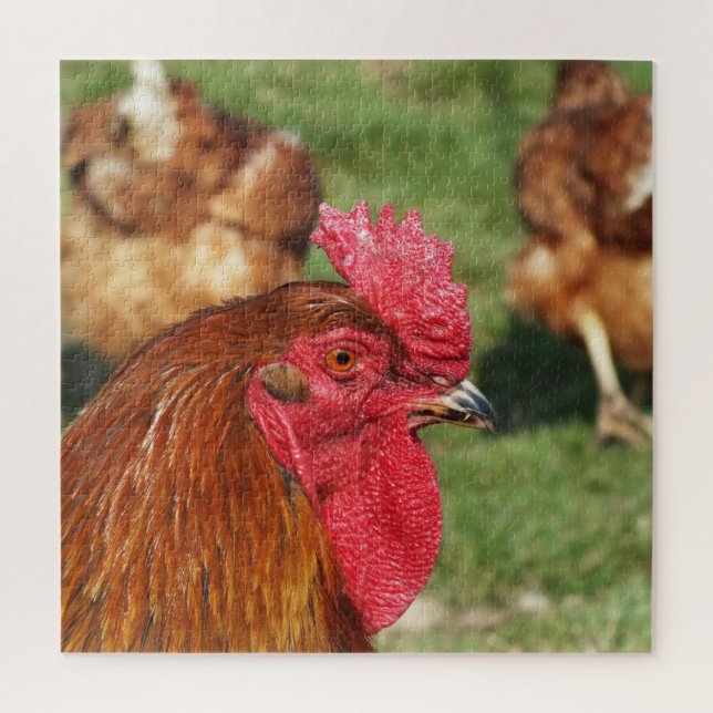 Puzzle pollo, animal, pollito, ave, granja, lindo, rompec (Vertical)