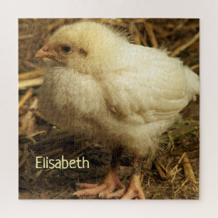 Puzzle pollo, animal, pollito, ave, granja, lindo, rompec