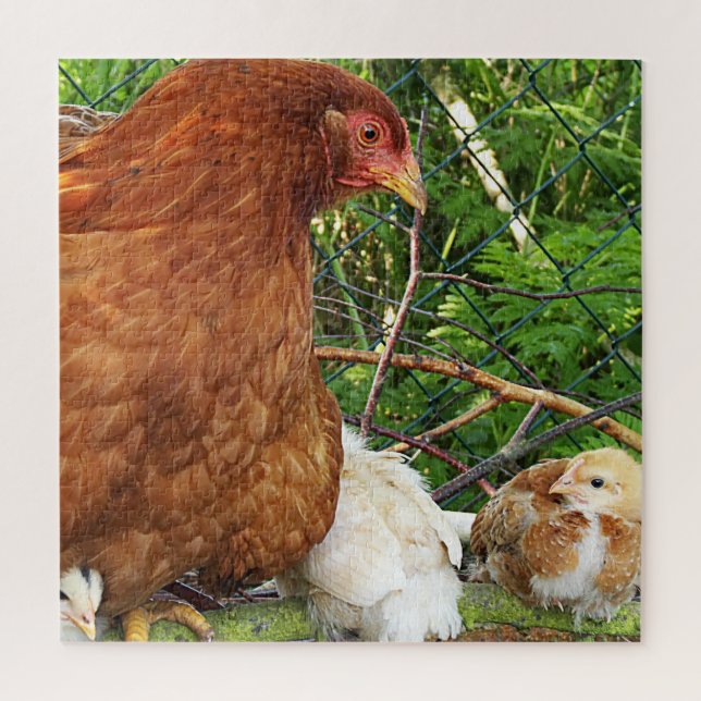 Puzzle pollo, animal, pollito, pájaro, granja, lindo, rom (Vertical)
