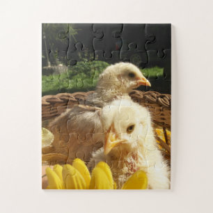 Puzzle pollo, animal, pollo, pájaro, granja, lindo, rompe