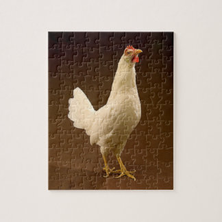 Puzzle Pollo de la Leghorn blanca