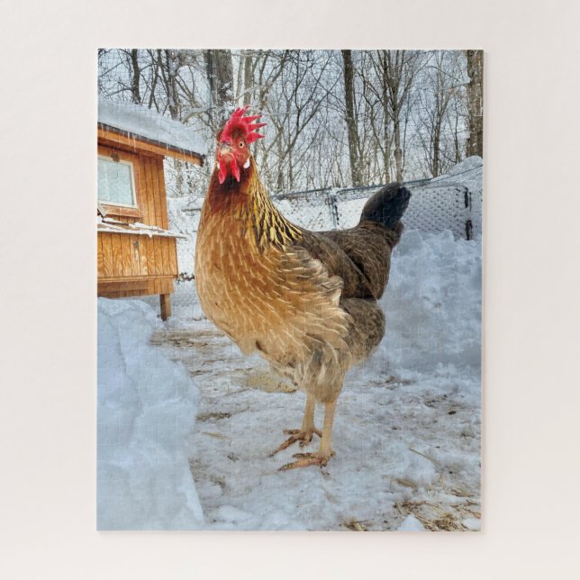 Puzzle Pollo Digno (Vertical)