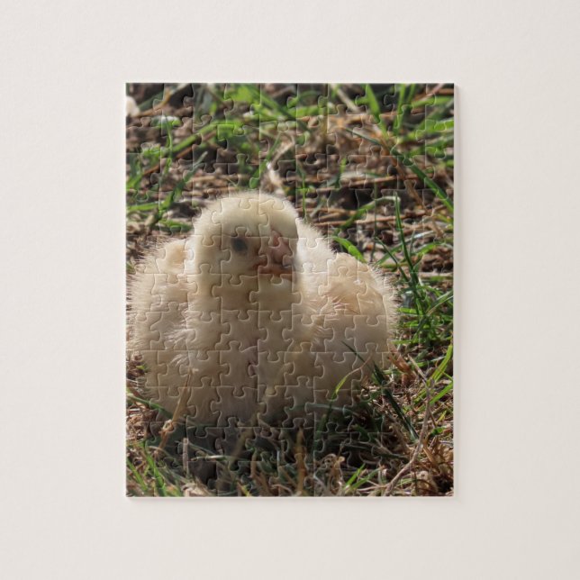 Puzzle pollo pequeño, animal de granja (Vertical)