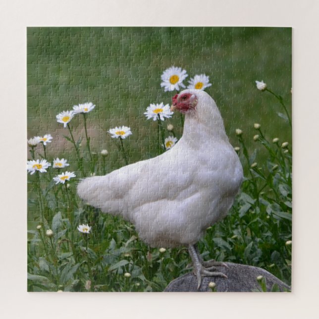 Puzzle Pollo y margaritas encantadores (Vertical)