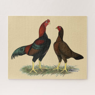Puzzle Pollos Aseel Black Red