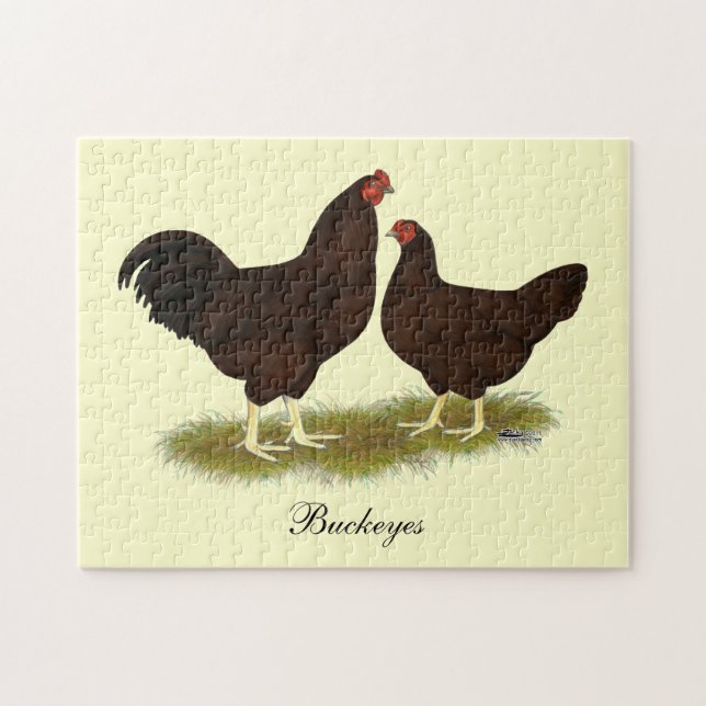 Puzzle Pollos de Buckeye (Horizontal)