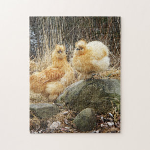 Puzzle Pollos de color de ante del silkie
