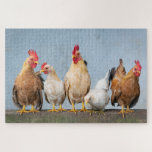 Puzzle Pollos de granja Roosters Nature Animals<br><div class="desc">Este diseño de temática animal incluye gallos y gallinas de granja. Perfecto para regalos de cumpleaños,  fiestas de Navidades o simplemente para divertirse. #puzzler #puzzleshop #instapuzzle #fun #juegos #granja #vida de granja #gallos #gallinas #animales</div>