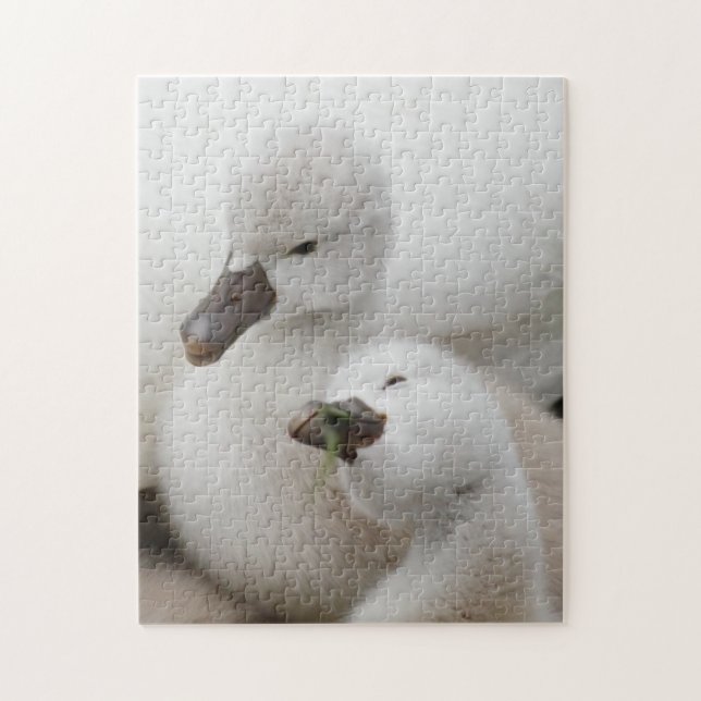 Puzzle Pollos del cisne del cisne mudo (Vertical)