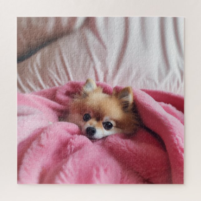 Puzzle Pomerania Companion Pink (Vertical)