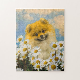 Puzzle Pomeranian en las margaritas que pintan - arte