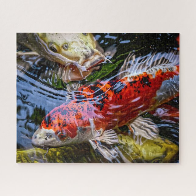 Puzzle Pond Koi Fish (Horizontal)