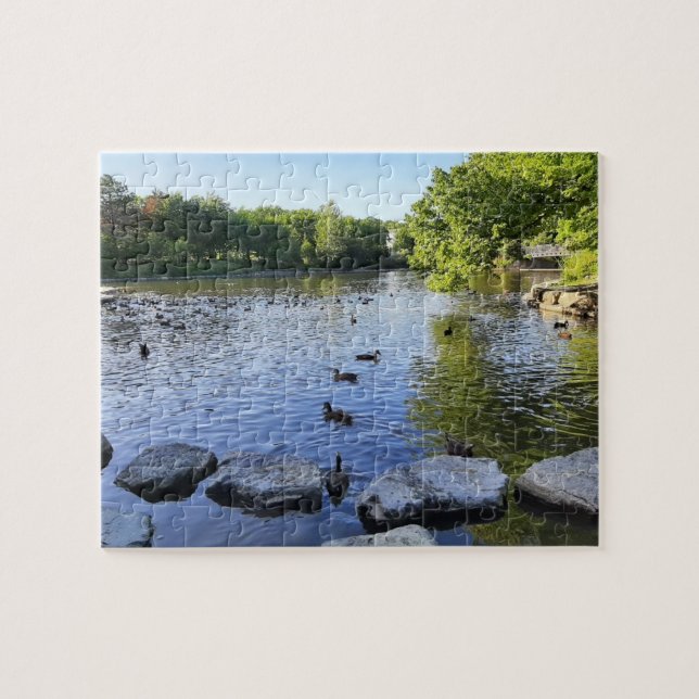 Puzzle Pond Pond (Horizontal)