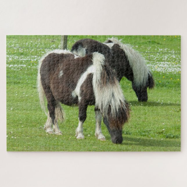 Puzzle Poneys de pintura Shetland de raza pura (Horizontal)